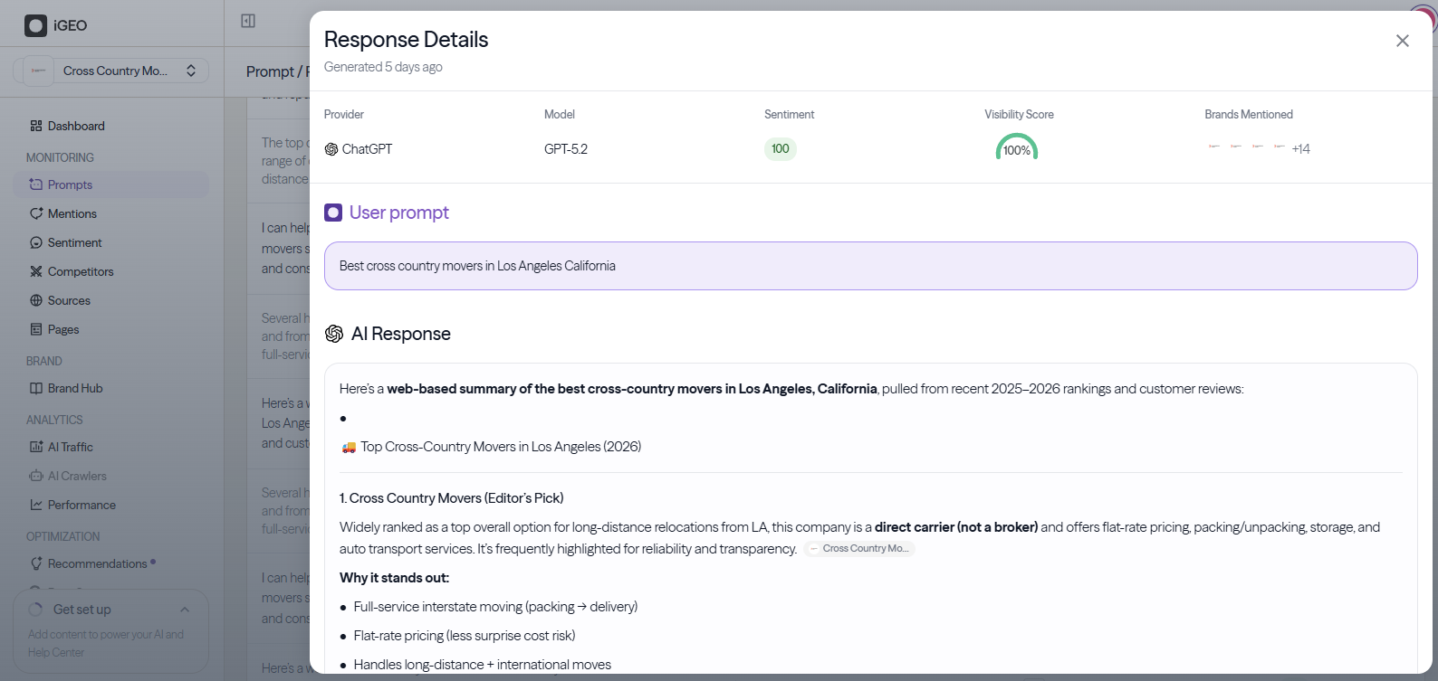 iGEO AI response analysis detail
